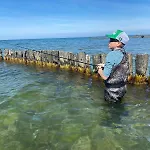 App 2 Stylische Surfoase Am Wasser * Dranske