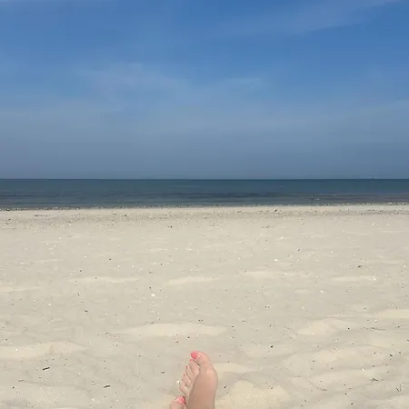 App 2 Stylische Surfoase Am Wasser Dranske