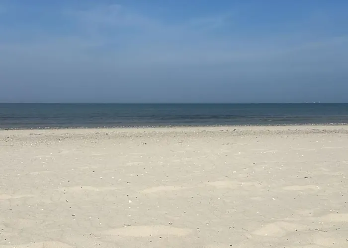 App 2 Stylische Surfoase Am Wasser Dranske